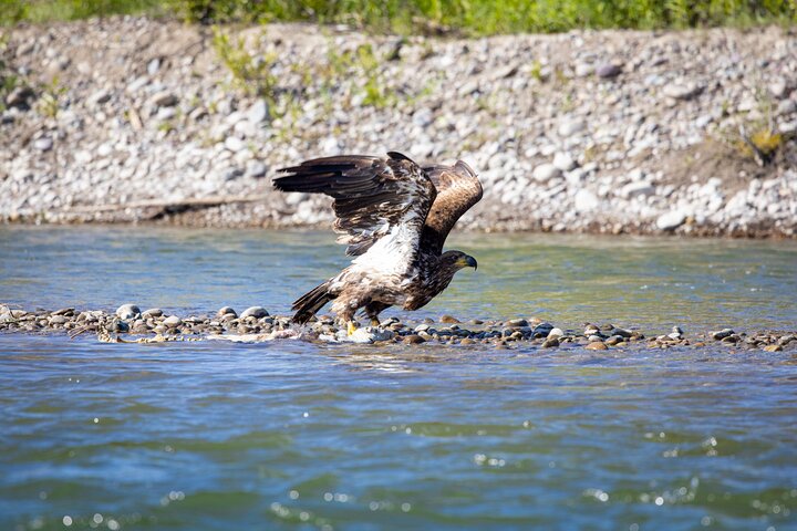 Tetons and Snake River Scenic Float Trip In Jackson Hole