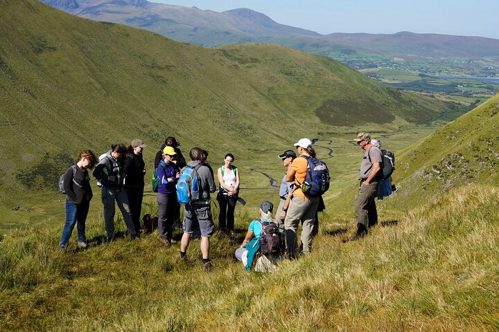 Dingle Peninsula Guided Walking Tour