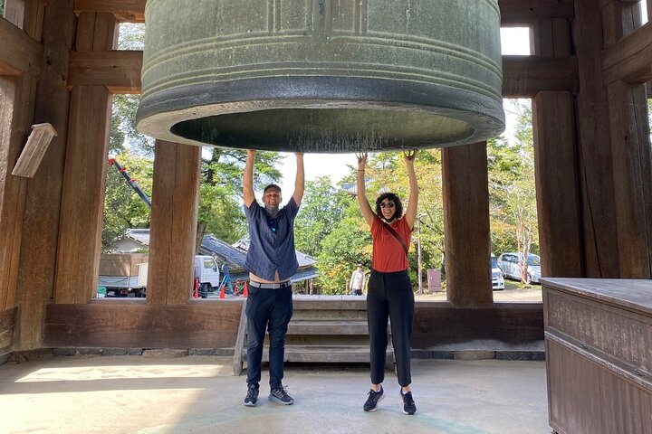 Nara Day Trip from Osaka by Private Car with Licensed Guide