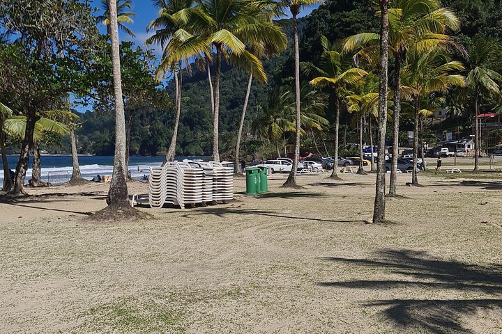 Discover Port of Spain & Maracas Beach – Scenic Trinidad Day Tour