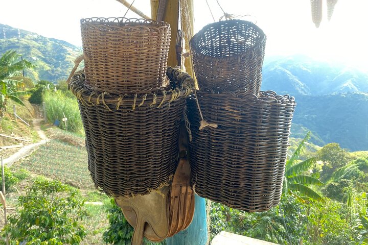 Coffee tour in Medellín with tastings and transportation