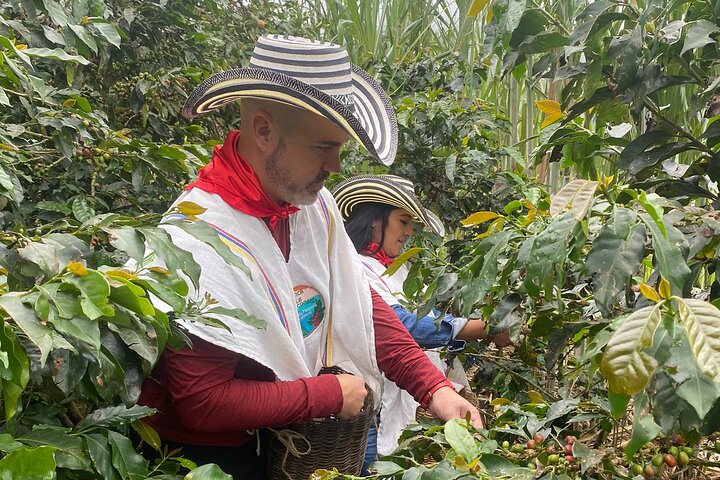 Coffee tour in Medellín with tastings and transportation