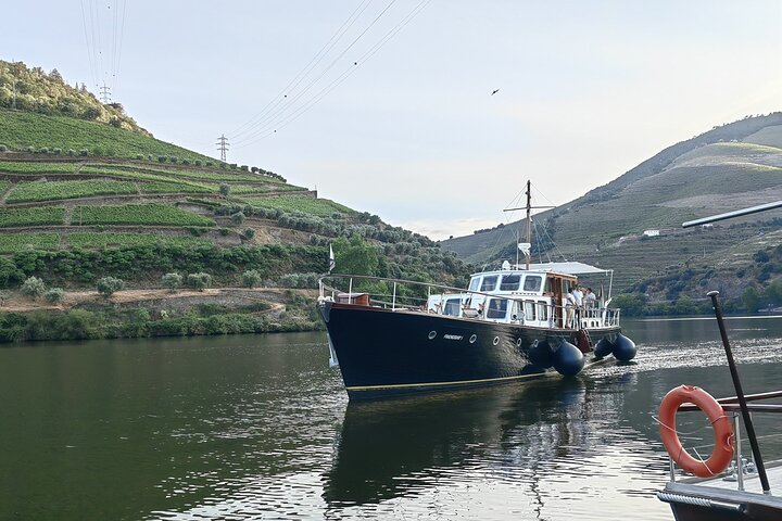 Full Day Private Tour to Douro - Vintage Experience