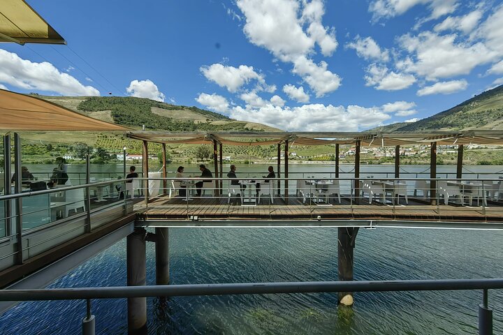 Full Day Private Tour to Douro - Vintage Experience