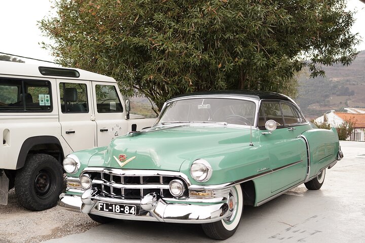 Full Day Private Tour to Douro - Vintage Experience