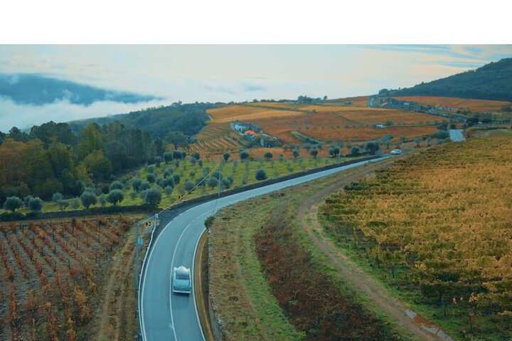 Full Day Private Tour to Douro - Vintage Experience