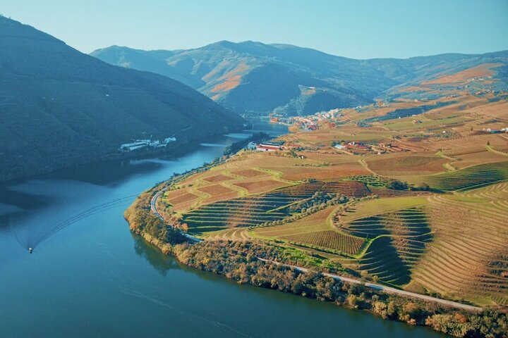 Full Day Private Tour to Douro - Vintage Experience