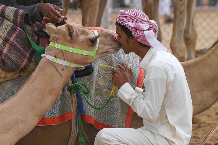 Riyadh Red Sand Dunes 4x4 (Camel Ride, Quad biking, Old Palace)