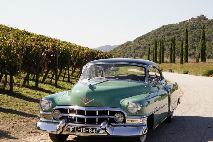 Full Day Private Tour to Douro - Vintage Experience