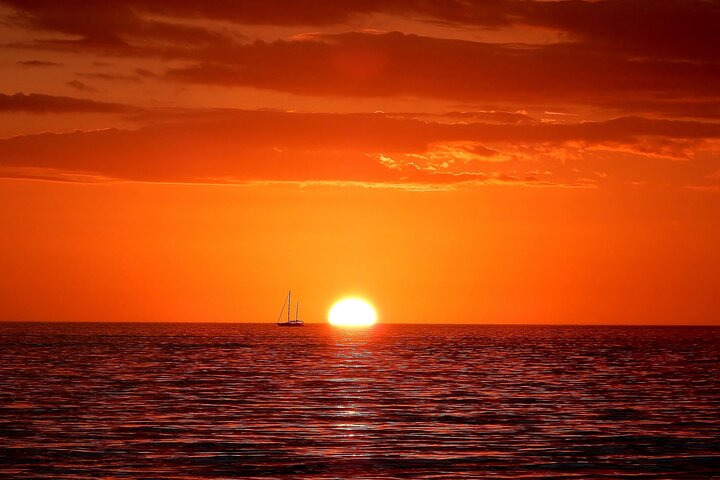 2 hour Tiki Pub Sensational Dolphin Sunset Cruise (Adults only)