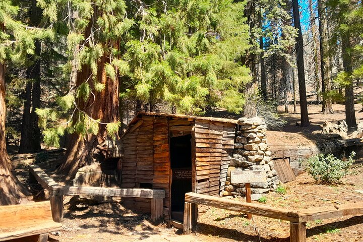 Giant Sequoia Private Tour