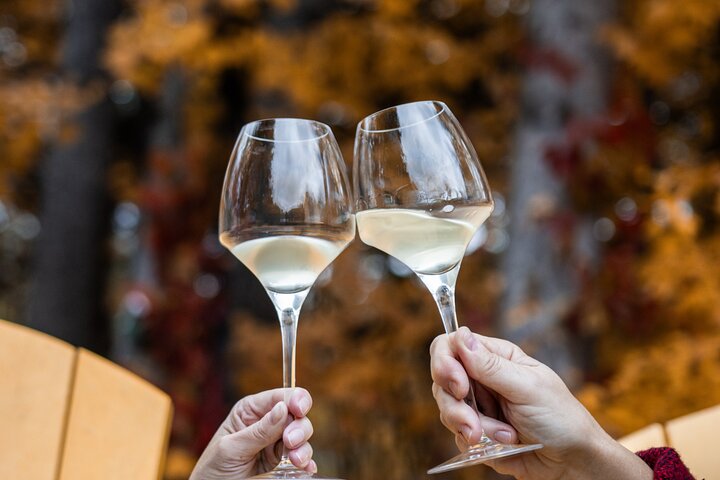 Private Wine Tastings in Simcoe County