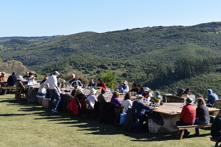 Uncover a Secluded Vineyard for Lunch