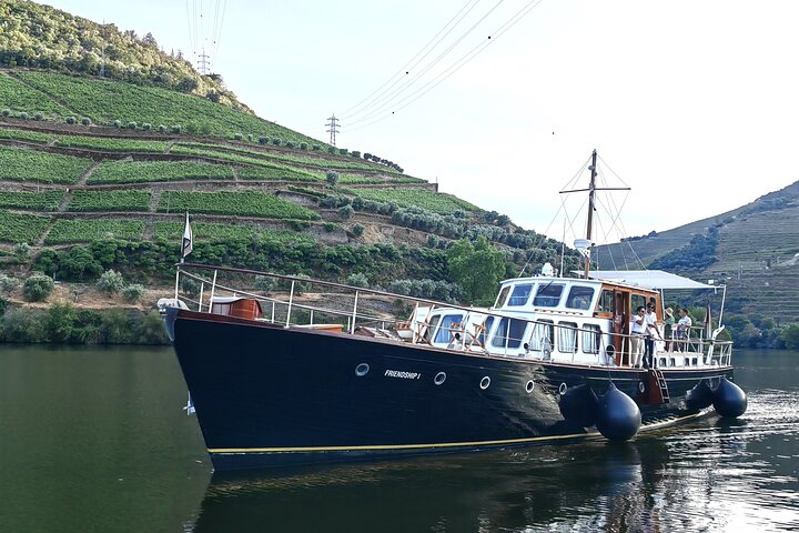 Full Day Private Tour to Douro - Vintage Experience