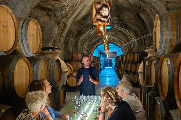 Full Day Private Tour to Douro - Vintage Experience