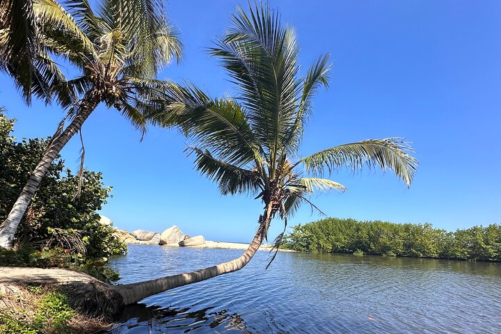 Private Tayrona Hike to Cabo San Juan: Bilingual Guide+Transport