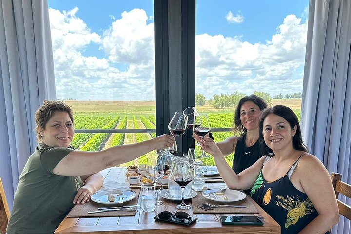 Discover why we Love the Colonia Wine Experience