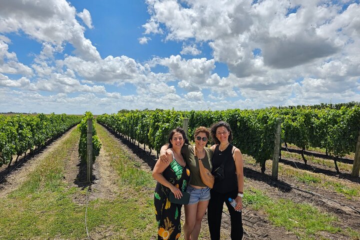 Discover why we Love the Colonia Wine Experience