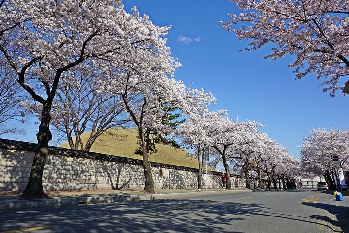 Gyeongju's Top Attractions on Private Tour with a Licensed guide