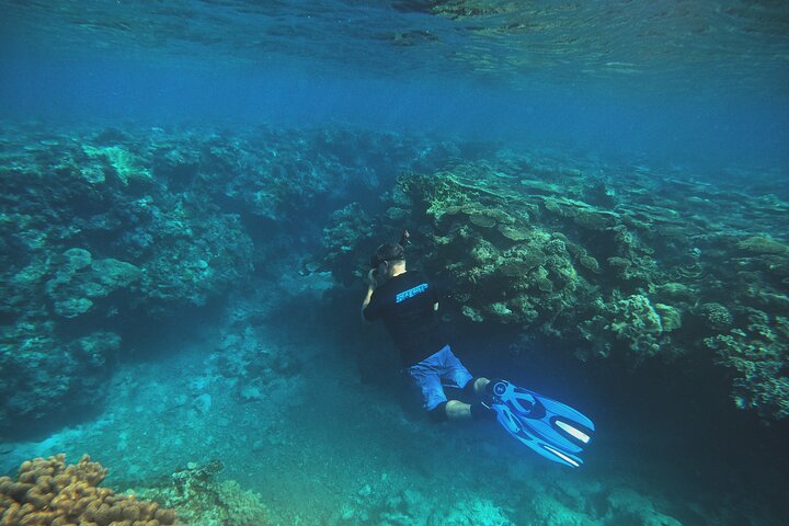 North Okinawa: Private Kayak & Snorkel Adventure