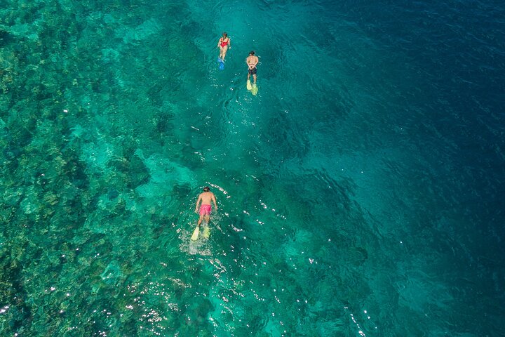 Snorkeling in Menjangan Island with Pickup and Lunch