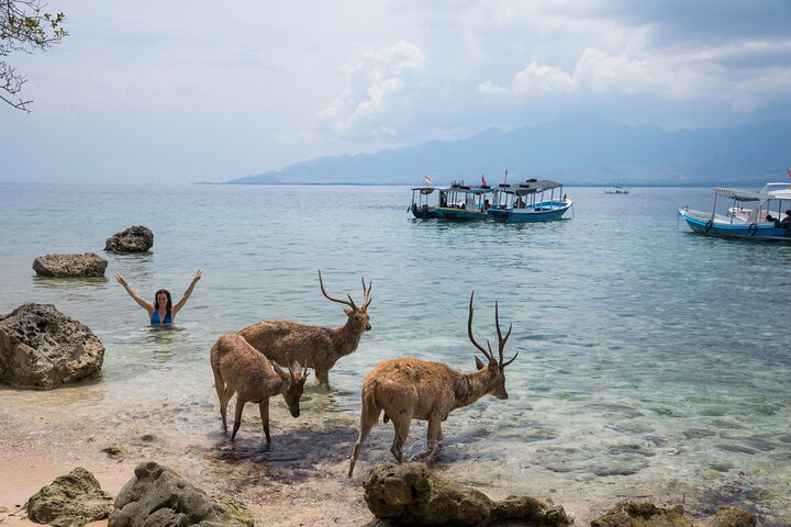 Snorkeling in Menjangan Island with Pickup and Lunch
