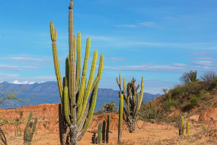 3-Days Tatacoa Desert and Villavieja Tour