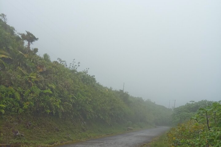 Private Dominica Tour to Trafalgar Falls &Titou Gorge via Minibus