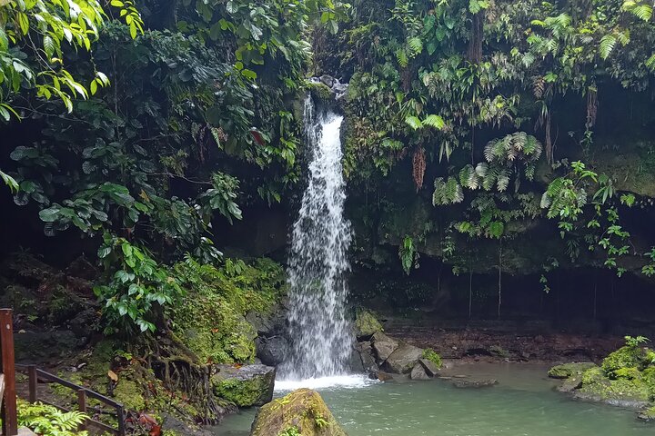 Private Dominica Tour to Trafalgar Falls &Titou Gorge via Minibus