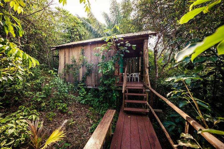 Amazon Adventure Trip 4D/3N at Tapiri Anavilhanas Lodge