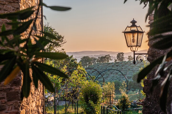 Assisi on the Footsteps of St. Francis and Carlo Acutis