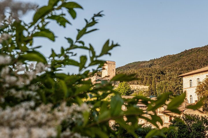 Assisi on the Footsteps of St. Francis and Carlo Acutis