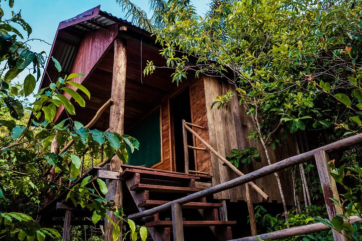 Amazon Adventure Trip 4D/3N at Tapiri Anavilhanas Lodge