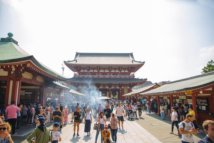 Full Day Tokyo Private Tour by Luxury Vehicle