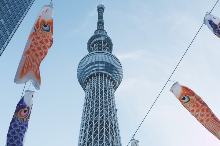 Full Day Tokyo Private Tour by Luxury Vehicle