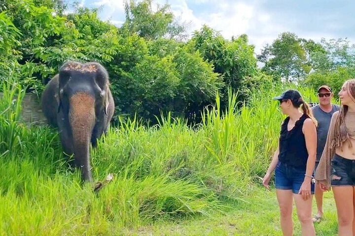 6 Hours Elephant Care and Jungle Tour by 4WD in Koh Samui