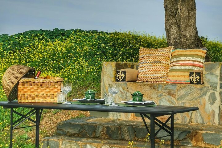 Mértola's Stunning Countryside Picnic
