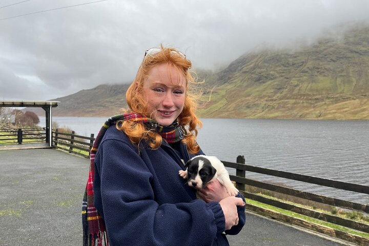 Small Group Kylemore Abbey, Sheepdog Demo & Connemara Tour