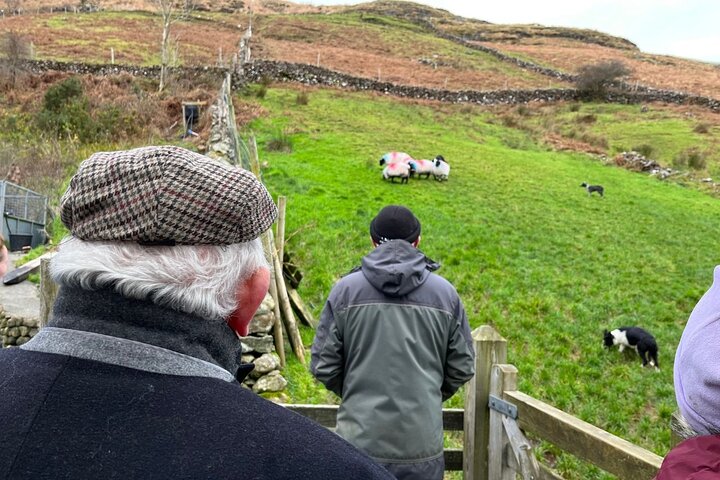 Small Group Kylemore Abbey, Sheepdog Demo & Connemara Tour