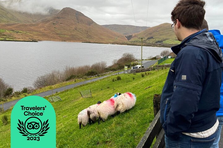 Small Group Kylemore Abbey, Sheepdog Demo & Connemara Tour