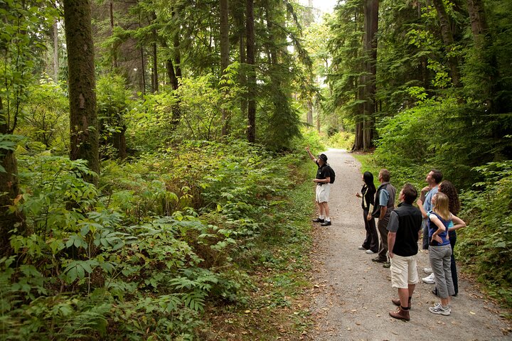 Double Decker Hop-on Hop-off Bus Tour - 16 Stops & Stanley Park