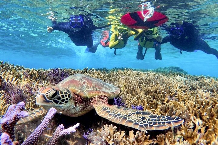 Okinawa Miyako Ultimate Day Trip SUP Snorkel Cave and Canoe