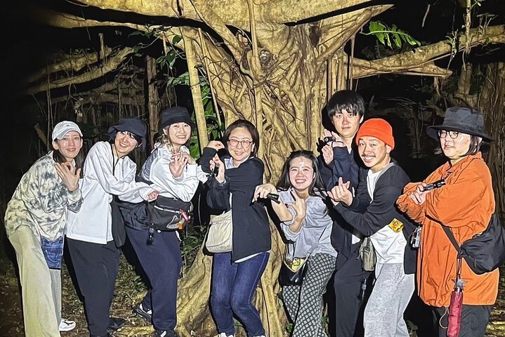 Okinawa Miyako Starry Night Jungle and Wildlife Tour with Pick Up