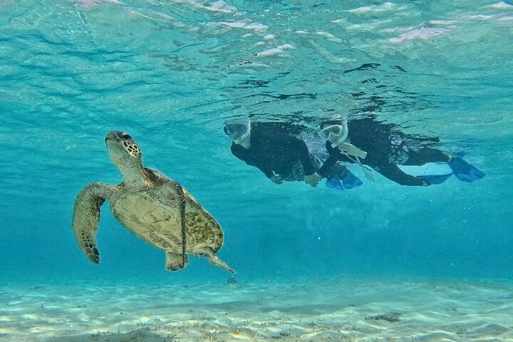 Okinawa Miyako Half Day Sea Turtle Snorkel with Free Photos