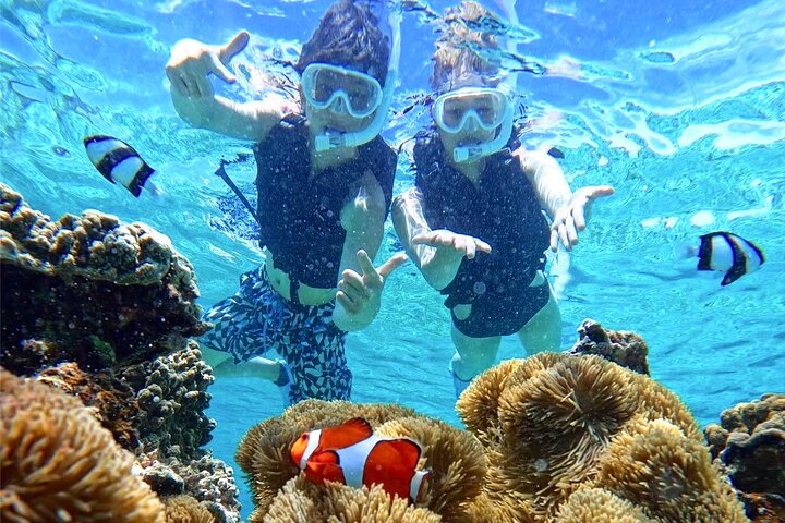 Okinawa Miyako Half Day Sea Turtle Snorkel with Free Photos