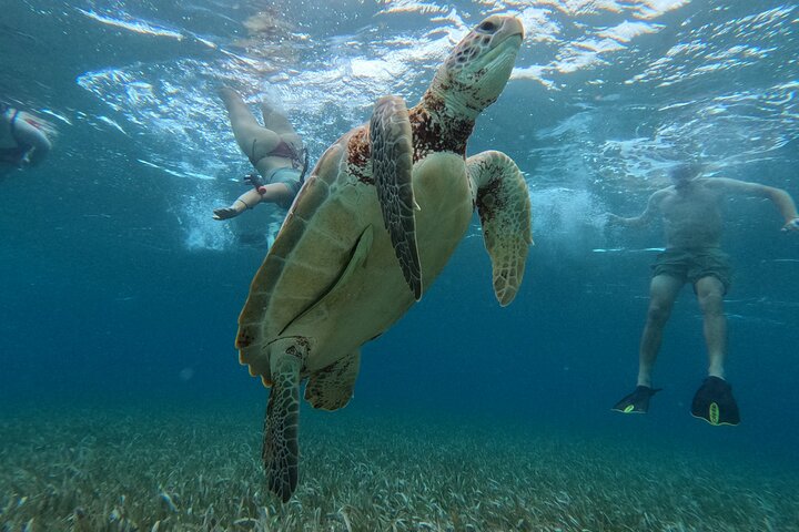 Let's snorkel Hol Chan the Best Marine Reserve in Belize