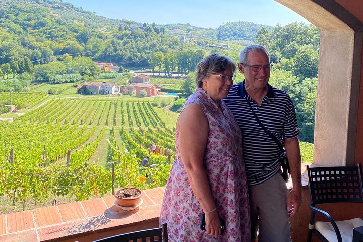 Tuscan Wine Tour in Lucca by van