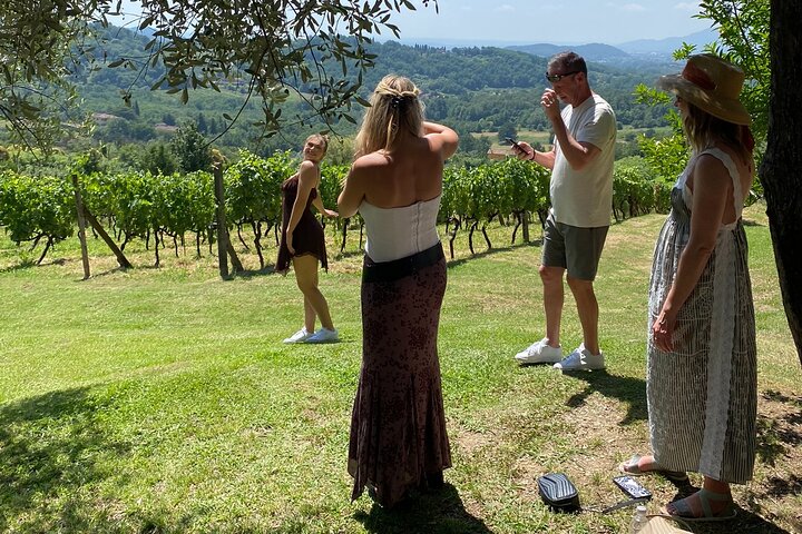 Tuscan Wine Tour in Lucca by van
