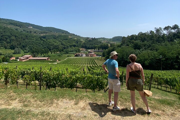 Tuscan Wine Tour in Lucca by van