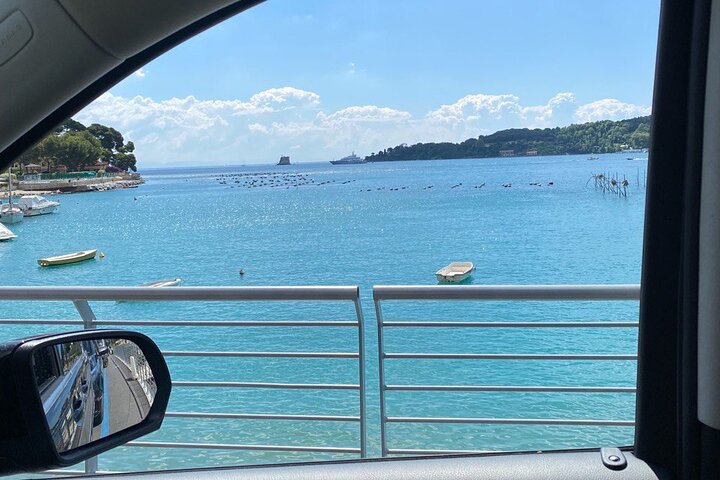 Cinque Terre PrivateTour by van from Lucca, Pisa or LaSpezia Port